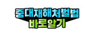 중대재해처벌법 바로알기